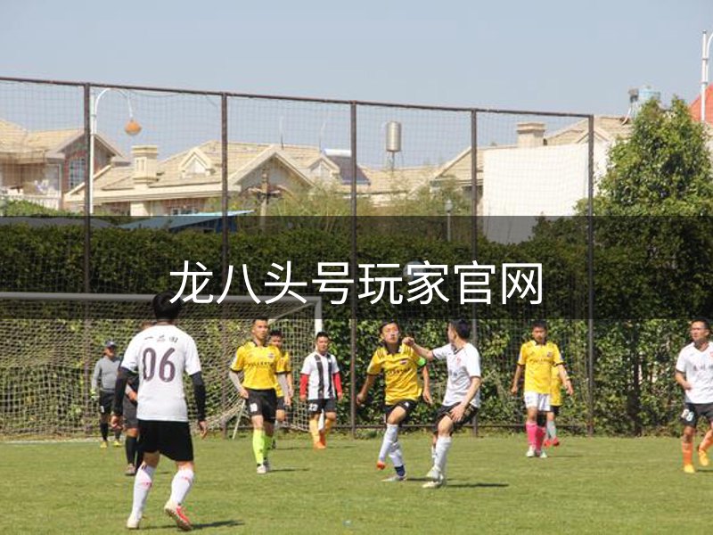 企业优势